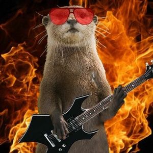 Otterly Hello!